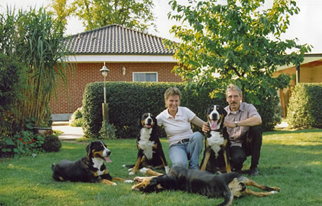 Wir und unsere Hunde