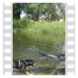 Schwimmunterricht