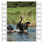 Wir lieben Wasser