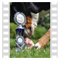 Der hundegerechte Pokal